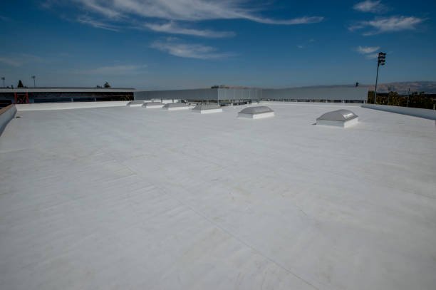 Best Rubber Roofing (EPDM, TPO)  in Marlette, MI