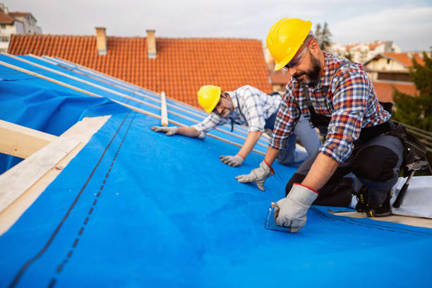 Best Gutter Installation and Repair  in Marlette, MI