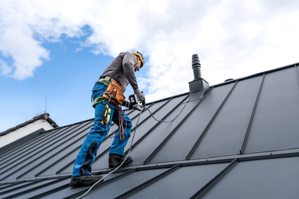 Best Storm Damage Roof Repair  in Marlette, MI